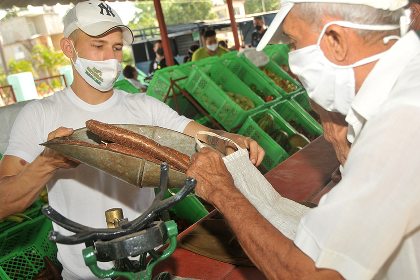 mercado agricola4