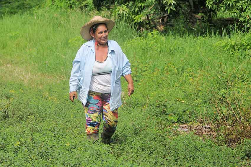 Cuban fields are now adorned with a greater number of empowered women.