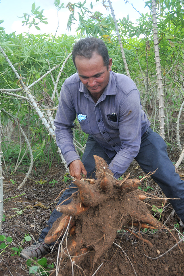 recorrido pto padre10