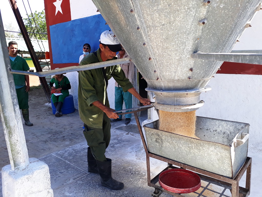 EnLlanosdeOriente3 UEB inicio Avicultura Las Tunas