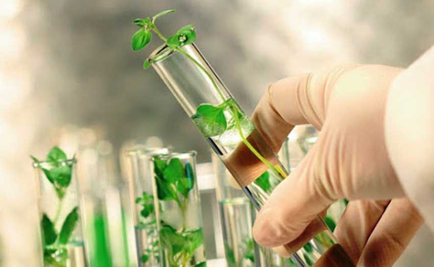 ciencia en la agricultura