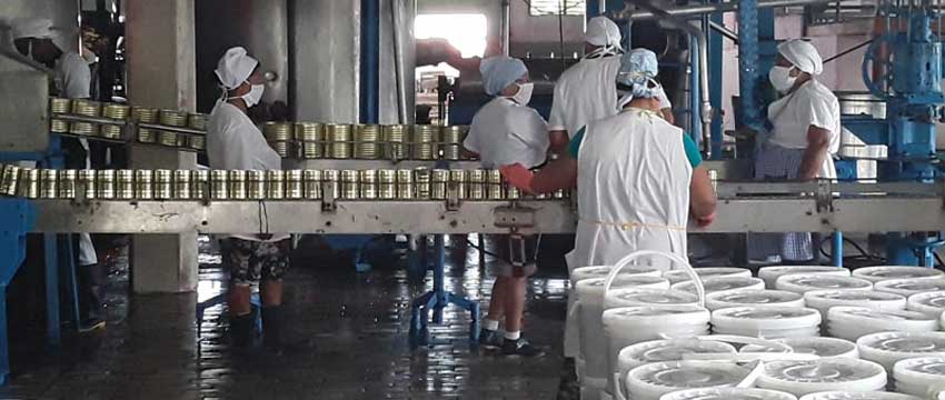 Liberación canning factory