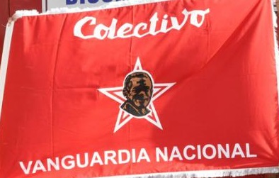 vanguardia nacional bandera