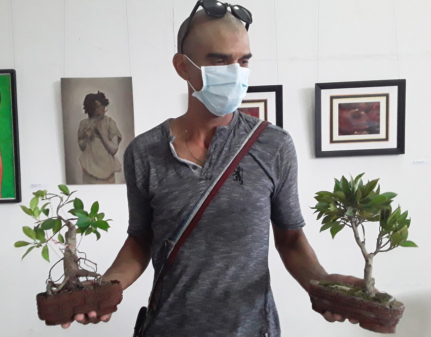 Wilner Rondón Peña, a lover of bonsais