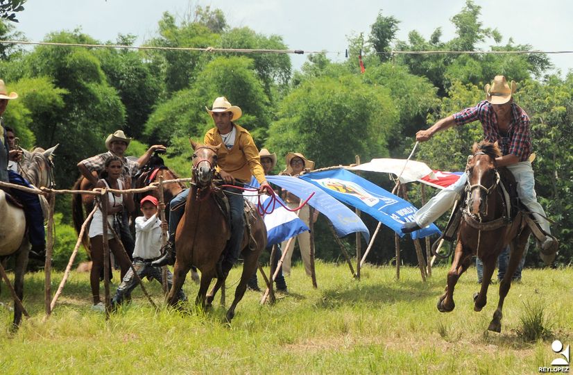 cabllos cucalambeana
