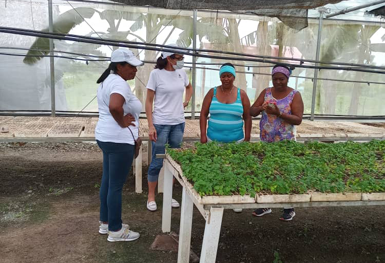 Seguros con campesinos ManatíESEN