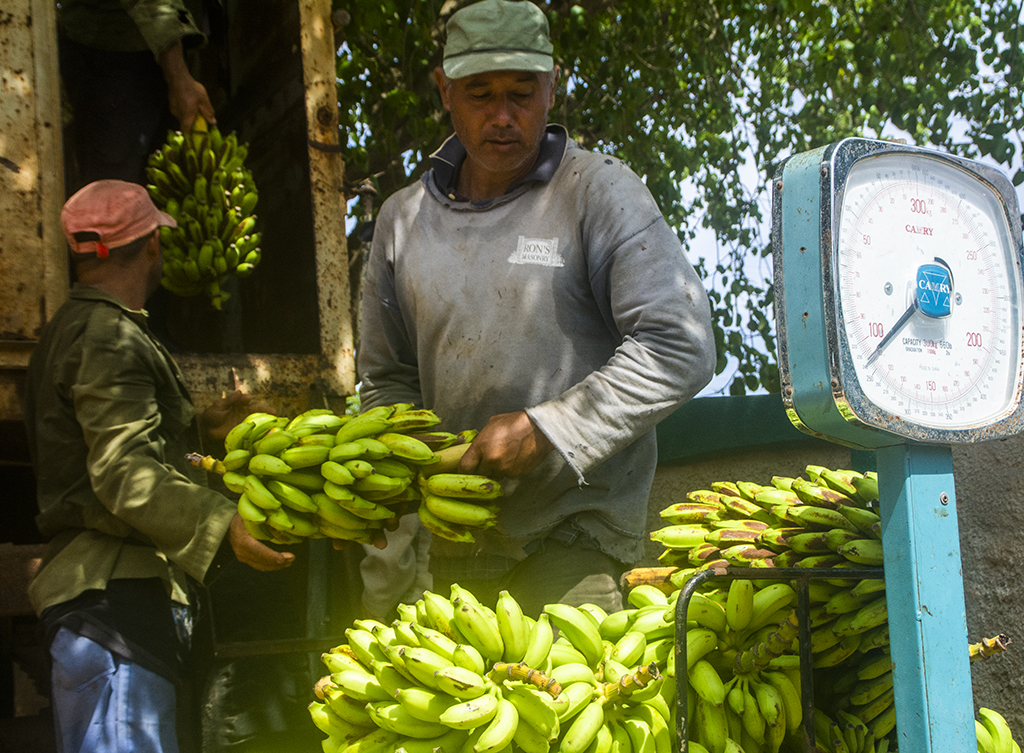 agricultura jesus menendez las tunas julio 2025 0029