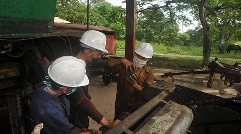 tecnica profesional2
