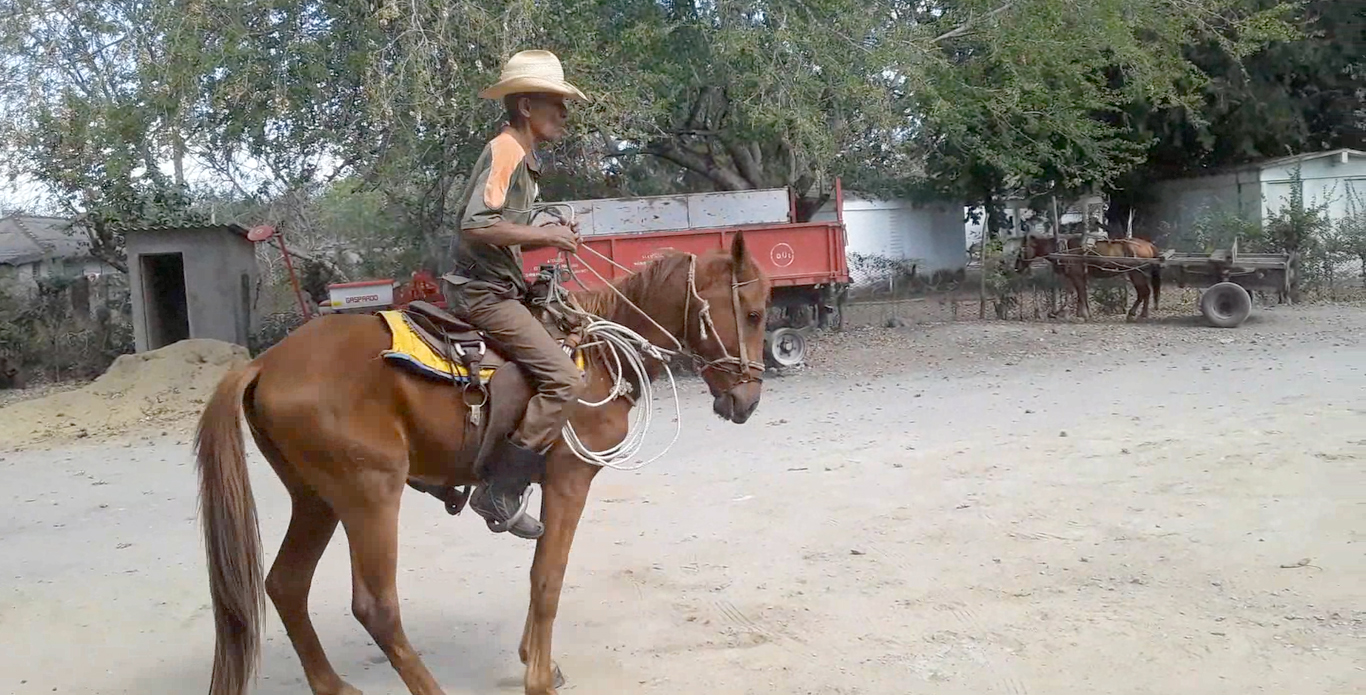 Pichuli el domador de caballos 4 caminos foto migueldn 2
