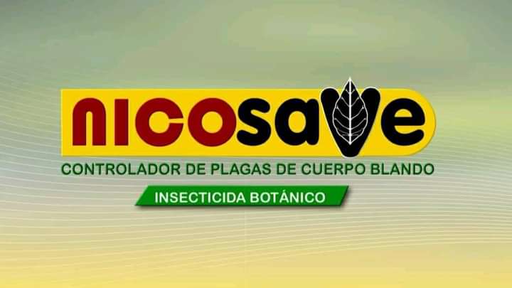 img 1 1640814334011