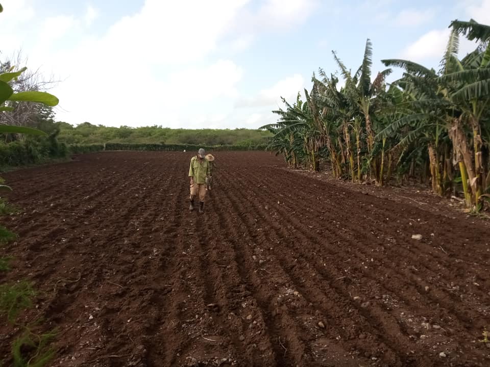 jobabo agrop 6