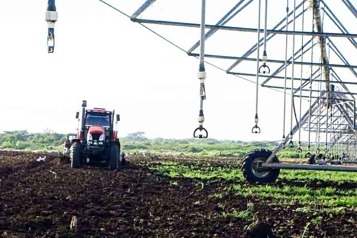 The agricultural environment plays a leading role in Jobabo's capacity for financial contributions.