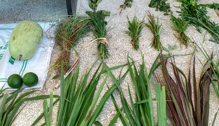 Provincial Agroecology, Science, and Technology Event in Las Tunas