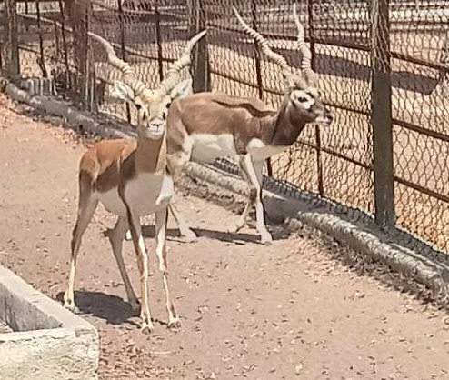 Las Tunas Zoo is offering new attractions