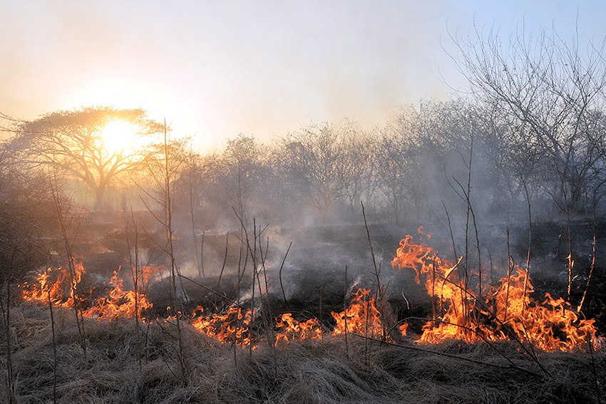 incendio1
