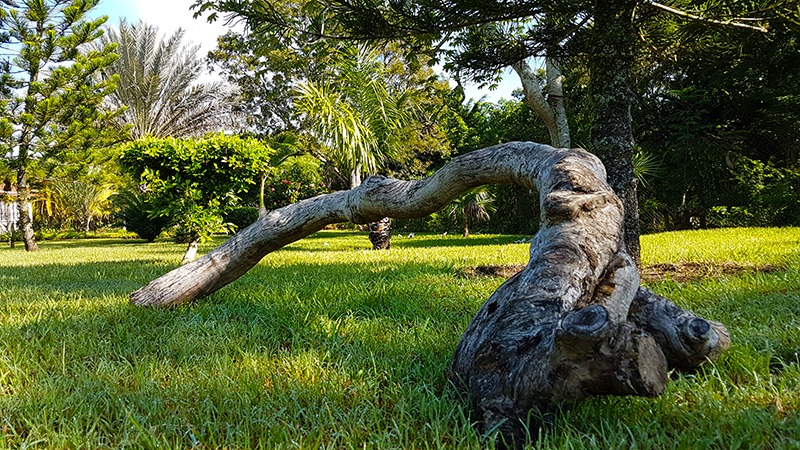 jardin botanico las tunas fb