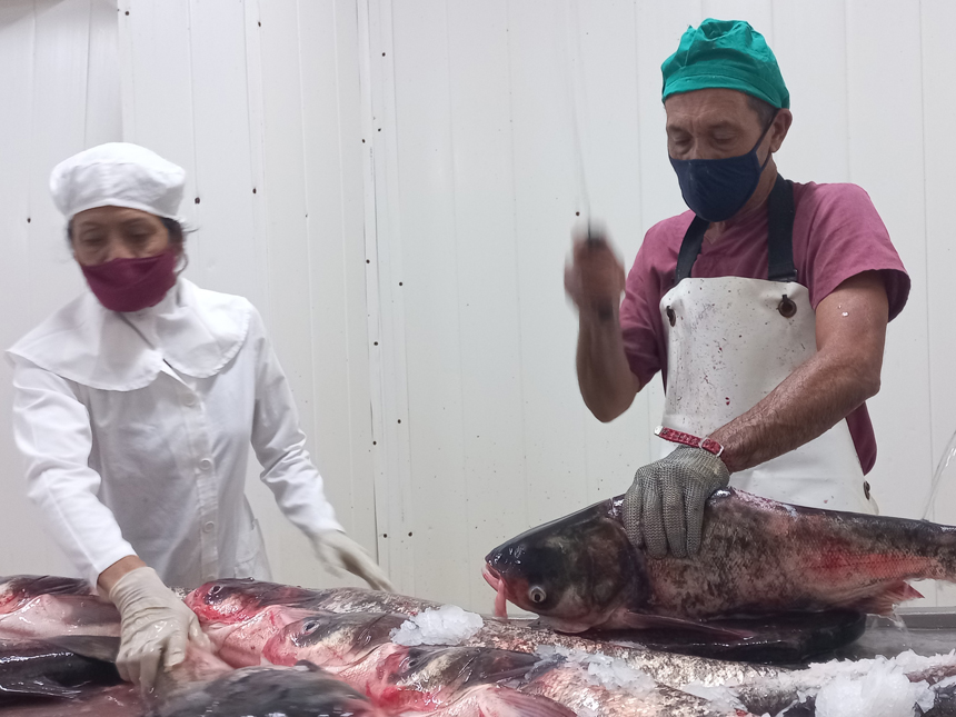 The Fishing Company strives to guarrantee more products for the population.