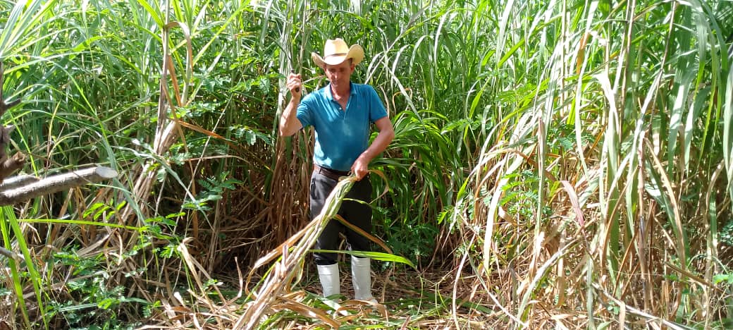 Farmer Ulises Bueno Ligurvia