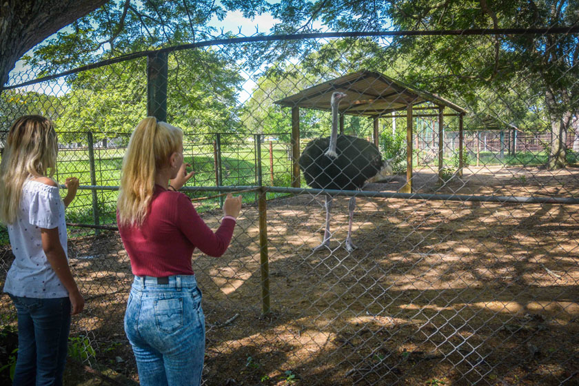 Zoologico Las Tunas1