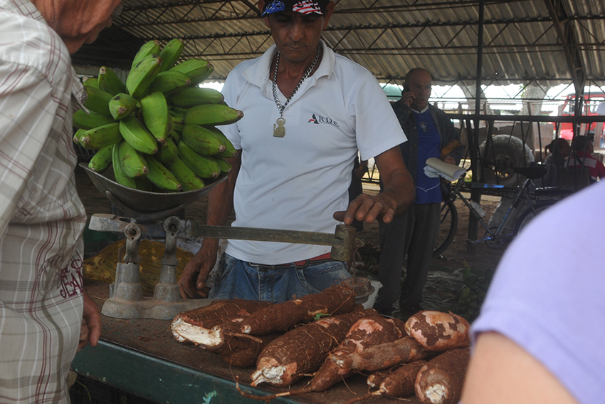 feria11