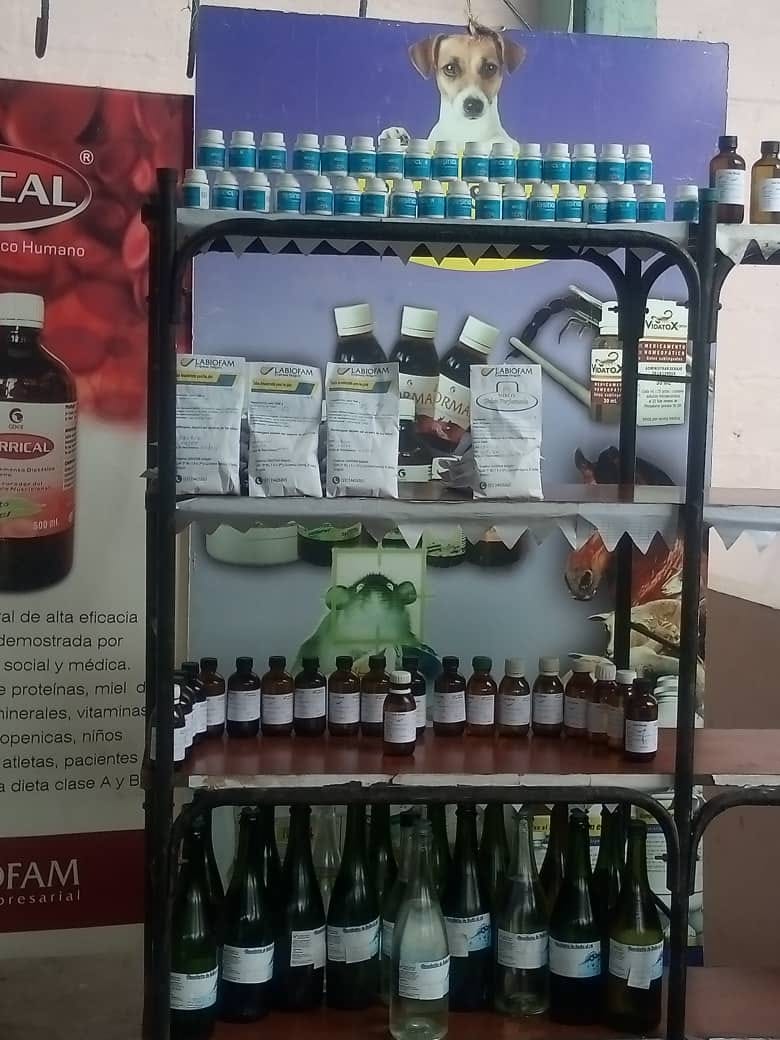 labiofam lt fb 2