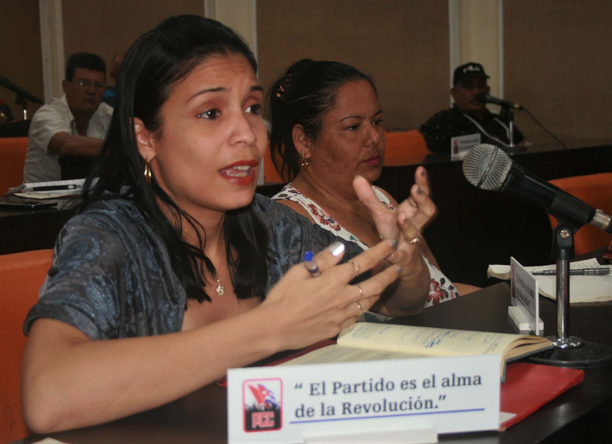 pleno partido .chimeno 4