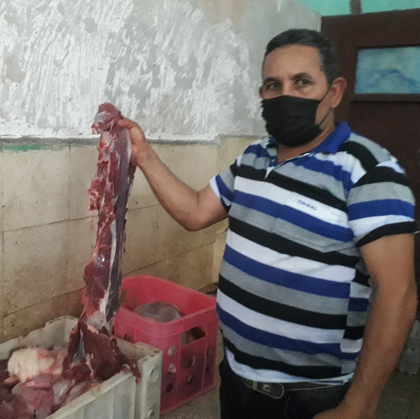 productor carneres