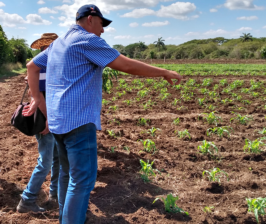 recorrido alimentos las tunas yenima 3