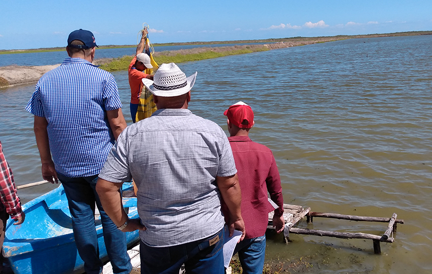 recorrido alimentos las tunas yenima 4