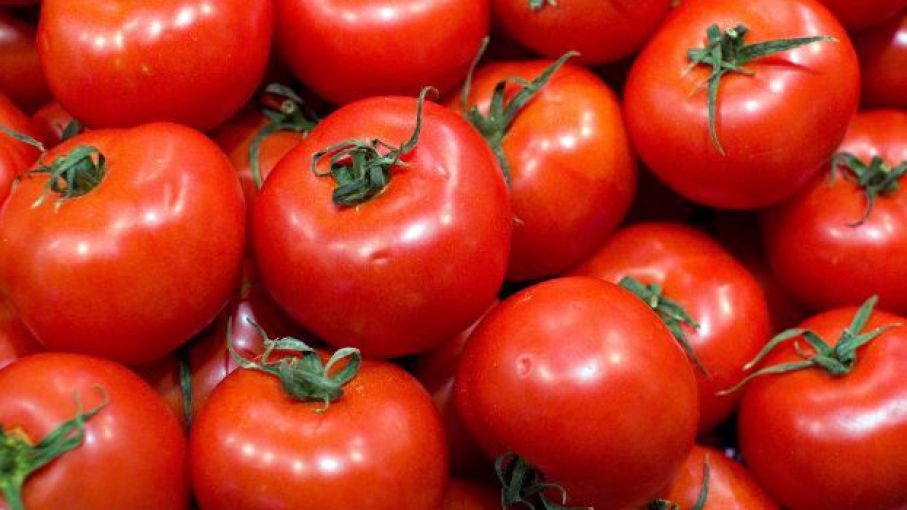 tomate