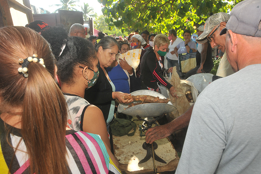 ventas10