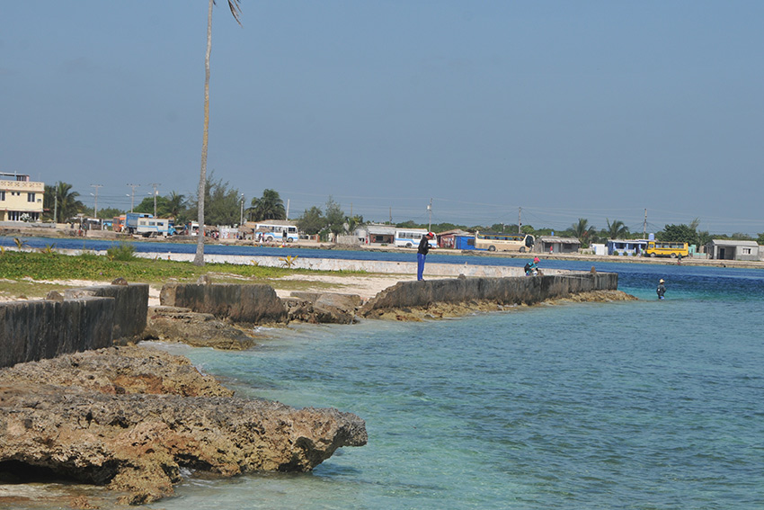 costas11