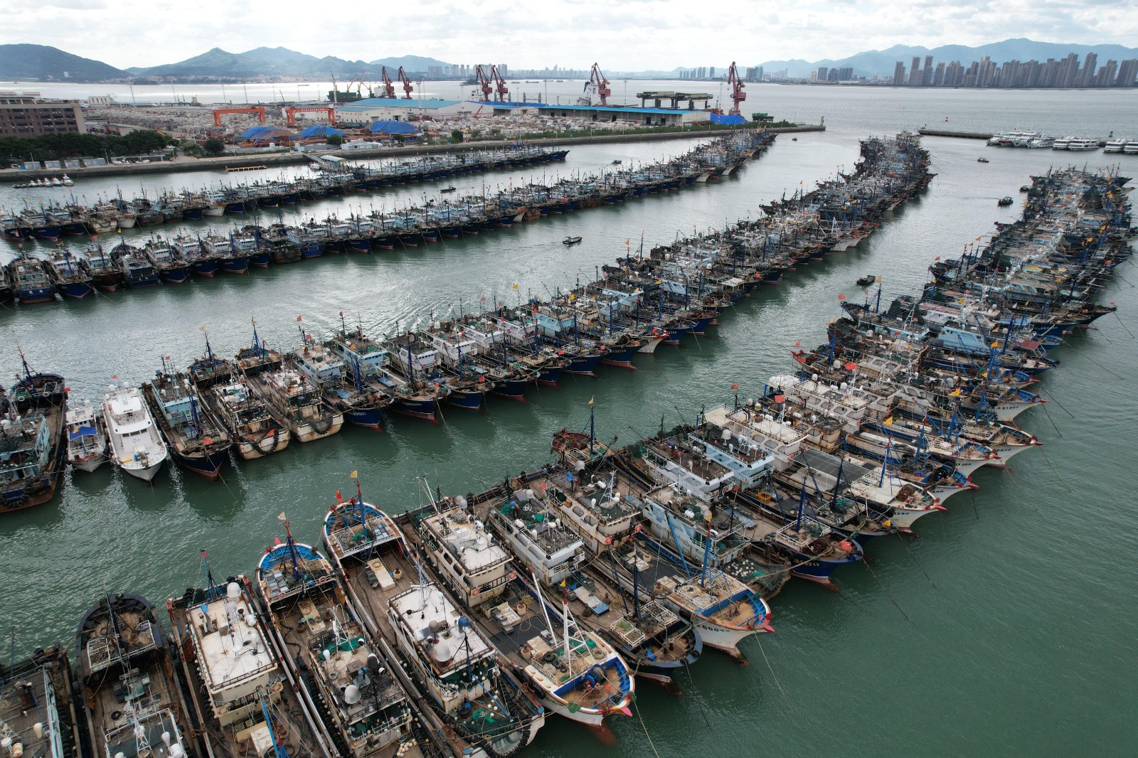 China La pesca china y el otro juego del calamar 1