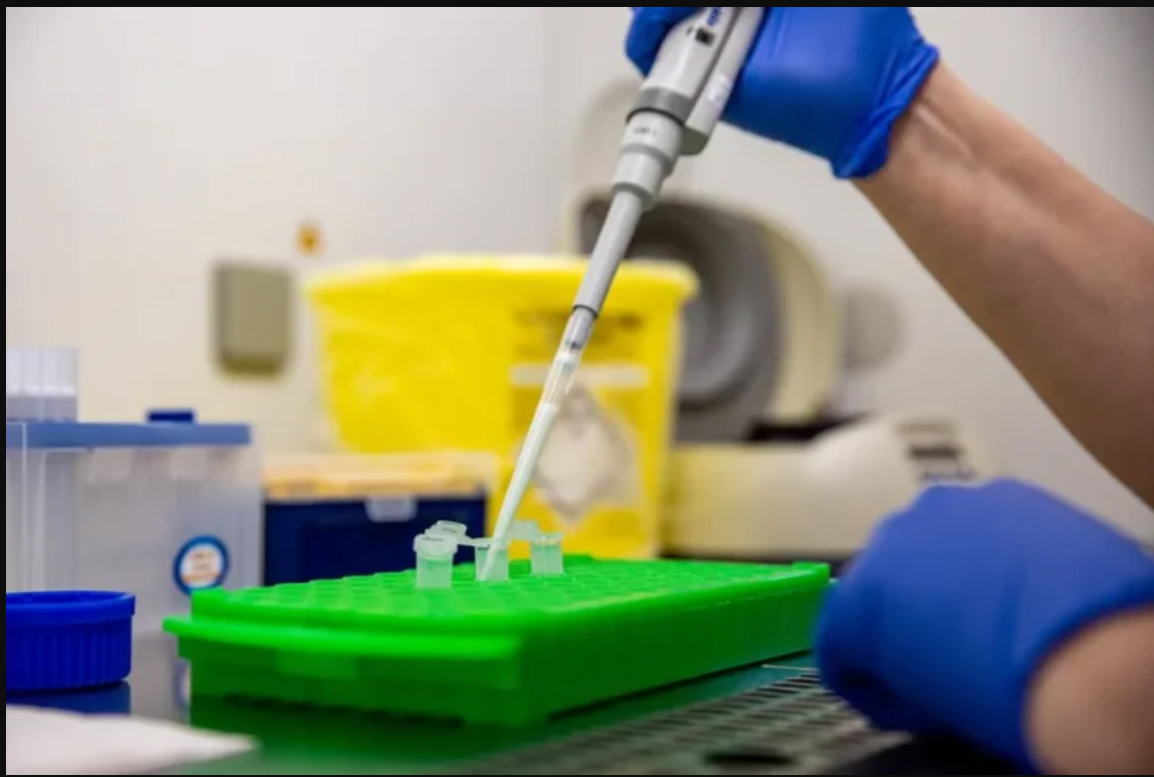 analisis hantavirus