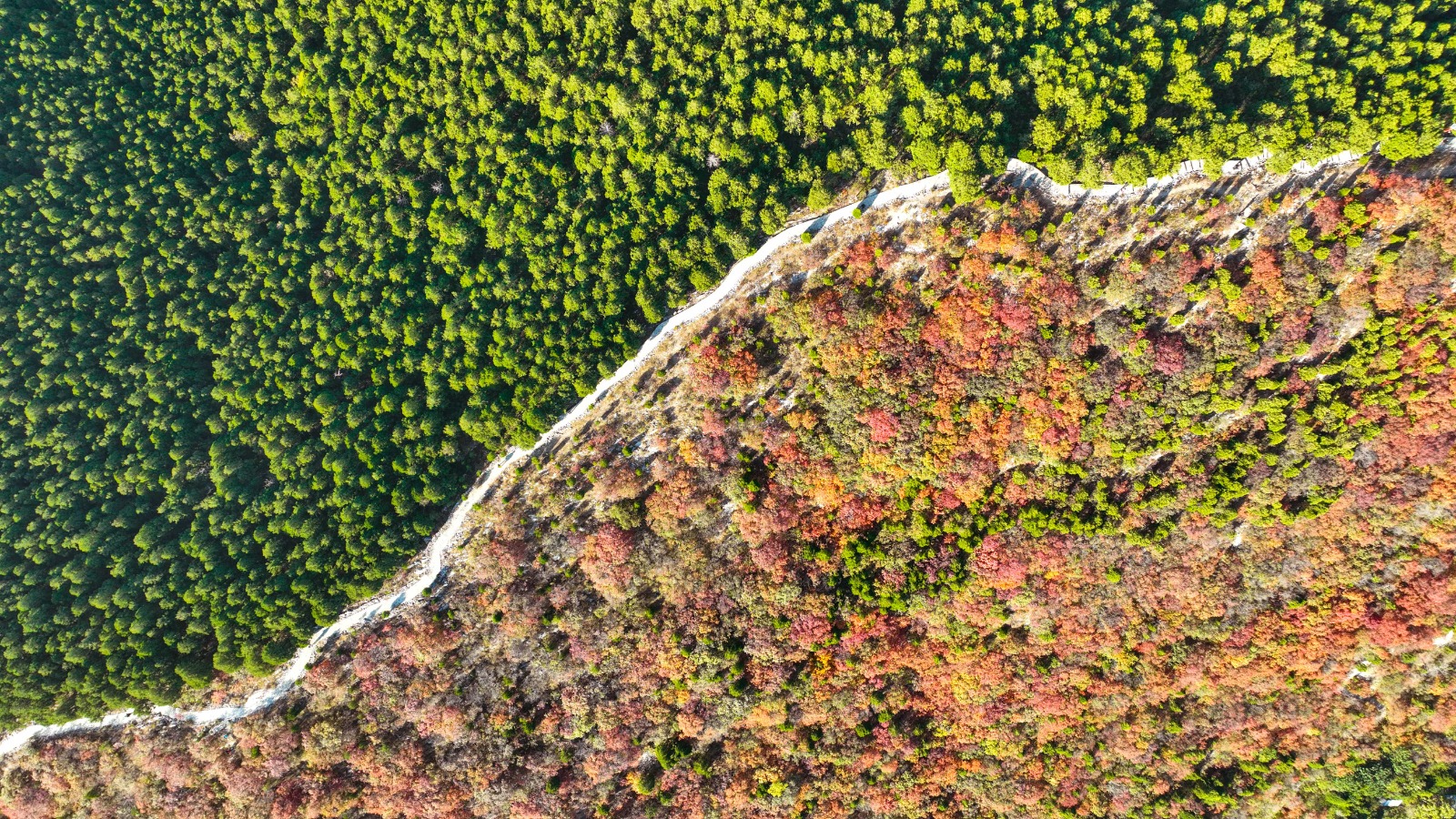 china vs desertificacion 1