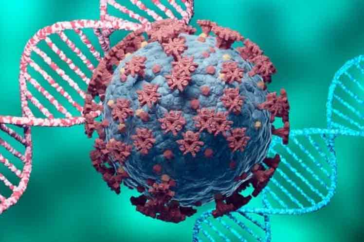 coronavirus cepa