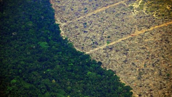 deforestacion 580x326