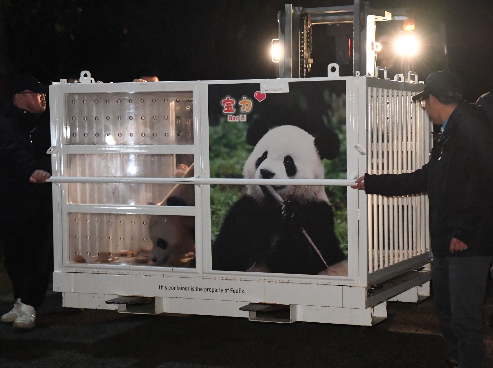 pandas china 1