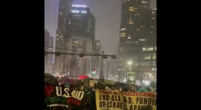 pese a frio y nieve cientos salen en nueva york por palestina