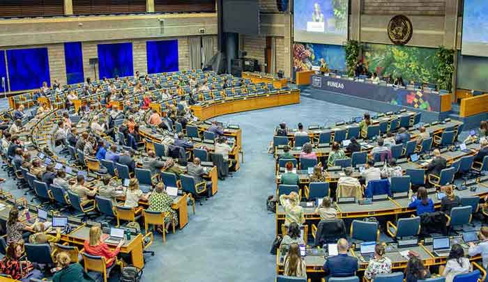 UNEA-6 is taking place in the Kenyan capital from February 26th to March 1st. 
