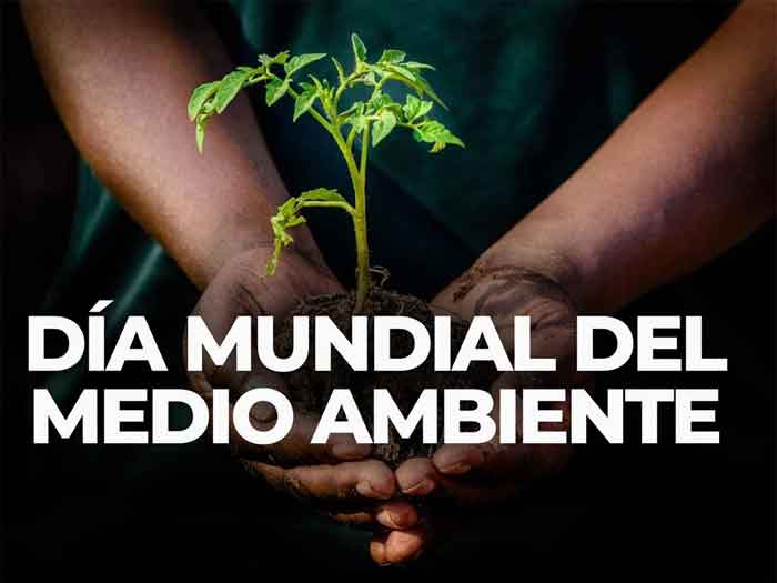 Este 5 de junio se celebra bajo el lema Nuestras tierras. Nuestro futuro. Somos la #Generación Restauración