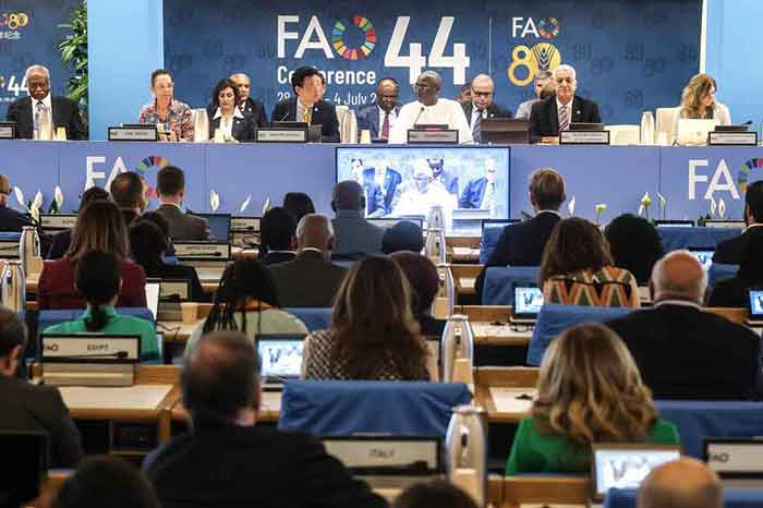 This 44th edition of the conference will run until July 4 at FAO headquarters.