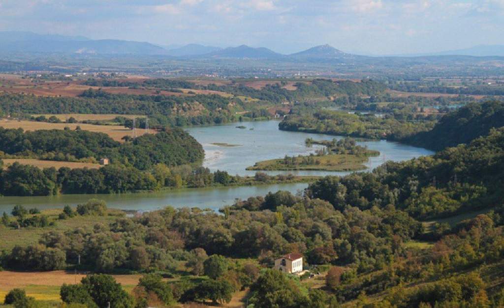 Humedales 1