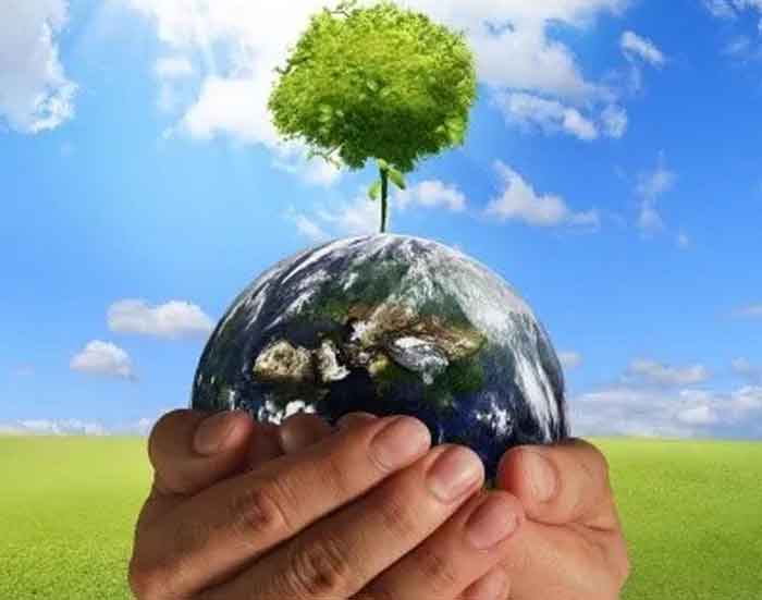 Plants helped shape the conditions for habitability on Earth.