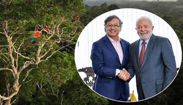 The meeting between the presidents and their delegations takes place at the National University of Colombia, in Leticia