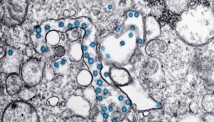 La OMS rastrea las diferentes variantes del virus, incluida la EG.5