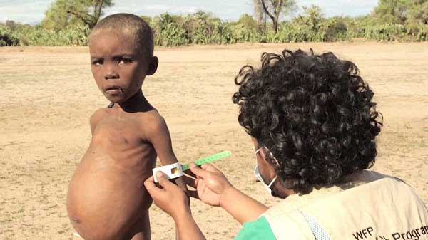 the climate crisis has pushed over one million people “to the very edge of starvation” in Madagascar