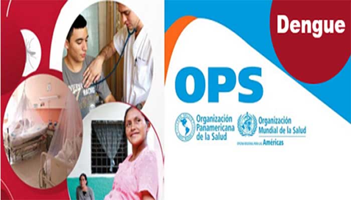 The update reports a 66 percent decrease in Dengue cases.