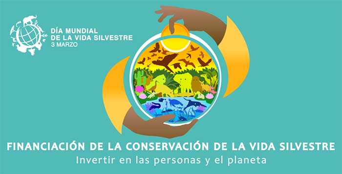 El tema del Día Mundial de la Vida Silvestre 2025 es Financiación de la conservación de la vida silvestre: Invertir en las personas y el planeta.