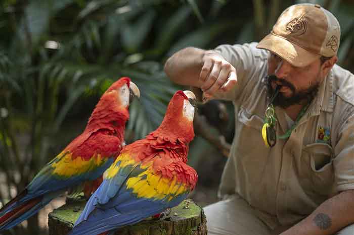El Día Mundial de la Vida Silvestre 2025 servirá de plataforma para el intercambio y la exploración de soluciones financieras innovadoras para su conservación.